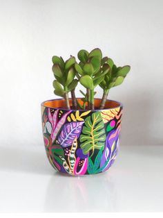 a small potted plant with colorful leaves on the outside and green plants in it