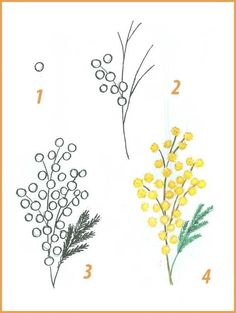 four different types of flowers are shown in this drawing book, with numbers on each side