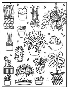 a black and white drawing of potted plants