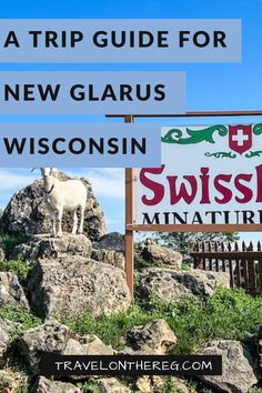 A goat on a rock at Swissland miniature golf with text: A Trip Guide for New Glarus, Wisconsin New Glarus Wisconsin, Town Home, Travel Planning, Packing Tips For Travel, Brewing Company, Travel Planner, Travel Packing, Plan Your Trip, New Hampshire