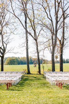 rows of white folding chairs sitting in the middle of a grass covered field next to trees