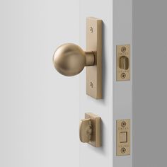 the door knobs are brass and have two different styles of handles on each one