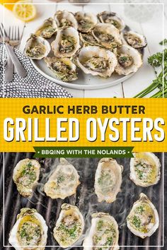 Oysters with herb garlic butter cooking on a hot grill Bbq Dinner Recipes, Smoked Oysters, Slow Cooker Meatballs, Bbq Dinner, Buffalo Chicken Wings, Garlic Herb Butter