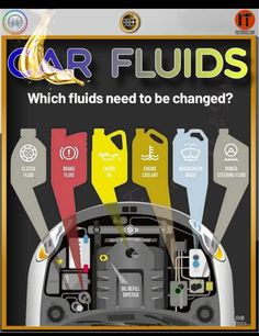 an advertisement for car fluids which fluids need to be changed?, with different colors and sizes