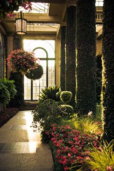 the walkway is lined with potted plants and flowers