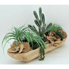 two wooden trays filled with plants on top of a white table next to each other