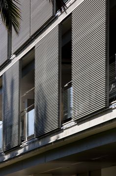 an apartment building with shutters and palm trees