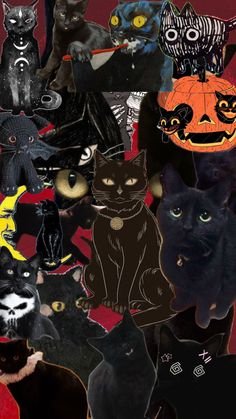 a collage of black cats and pumpkins