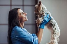 a woman in blue scrubs off her dog's fur