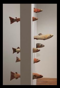 several fish are hanging on the wall in an art gallery with white walls and wooden flooring