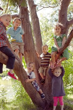 an instagram page with kids in a tree and the caption says, save