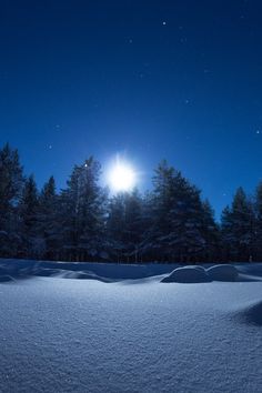 the night sky is lit up over snow covered ground with trees in the foreground