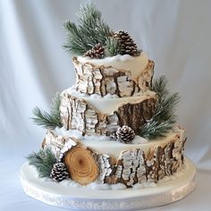 a three tiered cake decorated with pine cones and branches