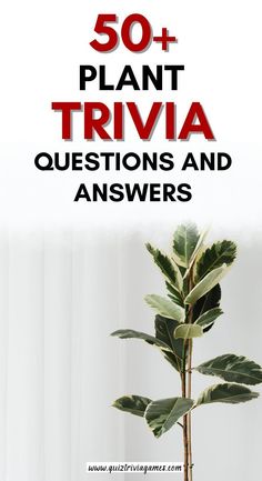 a plant with the words 50 + plant trivia questions and answers