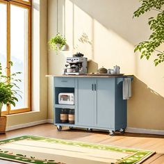 a kitchen area with a rug, potted plants and an oven on the floor