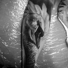 a black and white photo of a person's leg covered in plastic