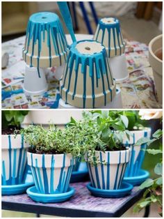 blue and white pots with plants in them sitting on top of a table next to each other