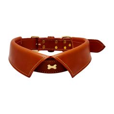 Winslow Dog Collar - Tan, front side, dog collars, collars for dogs, leather dog collar, shop for pets, genuine leather, polished brass hardware, various sizes, liamandlanna.com Puppy Collars And Leashes, Luxury Pet Collars, Luxury Dog Leash, Wide Dog Collar, Dog Collar Organization, Dog Collars Aesthetic, Embroidered Dog Collar, Dog Collar Design, Diy Pet Collar