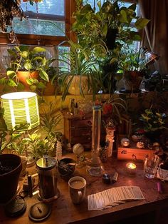 a table topped with lots of potted plants next to a window filled with light