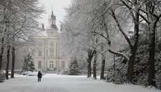 a person walking down a snowy path in front of a building