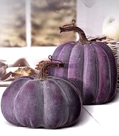 three purple pumpkins sitting next to each other on a white counter top in front of a basket