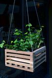 a wooden hanging planter filled with green plants