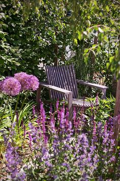 a wooden bench surrounded by purple flowers and greenery