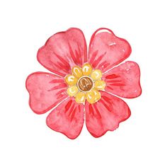 a watercolor painting of a pink flower with yellow center and two petals on each side