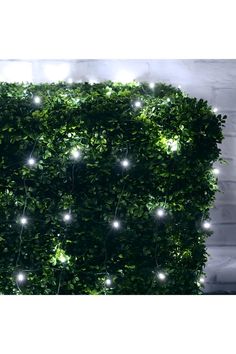 Shop For 4' x 6' Cool White 5mm LED Christmas Net Lights Christmas Net Lights, Outdoor Greenery, Bushes And Shrubs, Wire Netting, Net Lights, Light Pattern, Light Installation, Stunning View, Wide Angle