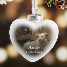 a heart shaped ornament with a photo of a dog hanging from it's side