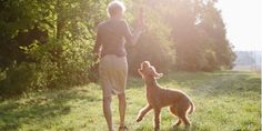 an older woman is playing with her dog in the grass outside on a sunny day