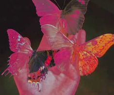 a person holding two butterflies in their hand, one is pink and the other is orange