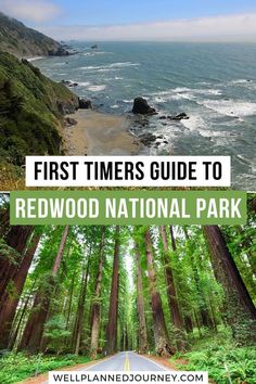 the redwood national park with text overlay that reads first timers guide to redwood national park