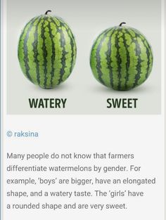 two watermelons are shown with the caption that says they have different names