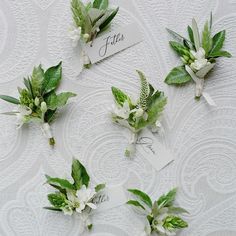 wedding boutonnieres with white flowers and green leaves on a tablecloth background