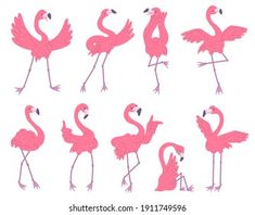 the pink flamingos are standing in different positions