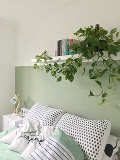 a bed with pillows and plants hanging from the headboard, along with bookshelves