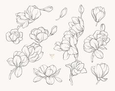 some flowers that are drawn in black and white