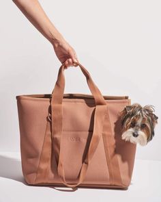 a small dog is sitting in a tan tote bag and being held by a woman's hand