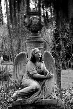 an angel statue sitting in the middle of a cemetery