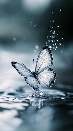 a white butterfly flying over water with bubbles in the air and on top of it's wings