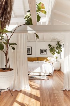 a bedroom with white walls and wooden floors, plants in the corner on the bed