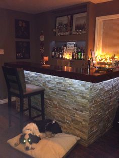 a dog laying on a bed in front of a bar with candles lit up behind it