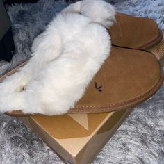 Women’s Milo Slippers Size 5 Brand New, Never Worn Still In Box Casual Beige Suede Slippers, Comfortable Slippers For Everyday Use, Casual Cream Slippers With Cushioned Footbed, Koolaburra By Ugg, Womens Uggs, Ugg Shoes, Slippers, Women Shoes, Brand New