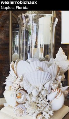 an arrangement of seashells and shells on a table in front of a mirror