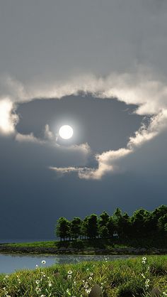 the sun shines through clouds over a body of water with trees and flowers in the foreground