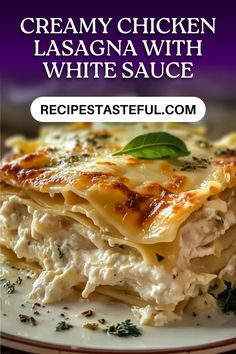 creamy chicken lasagna with white sauce is on a plate and the title reads, creamy chicken lasagna with white sauce