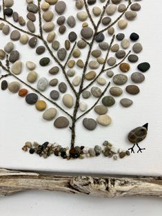 a tree made out of rocks is shown on a white canvas with driftwood branches