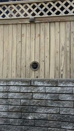 a cat sitting on top of a brick wall next to a wooden fence with a hole in it