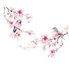 two birds sitting on a branch with pink flowers